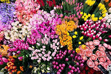 《Rusty Rabbit（锈兔异途）》 将于2025年4月17日（周四）发售