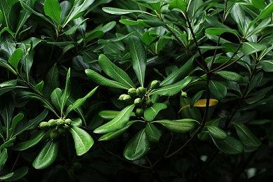 好评冒险游戏《GRIS》登陆PS5＆XS和Xbox One